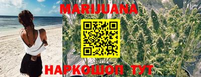 Альфа ПВП Владимир