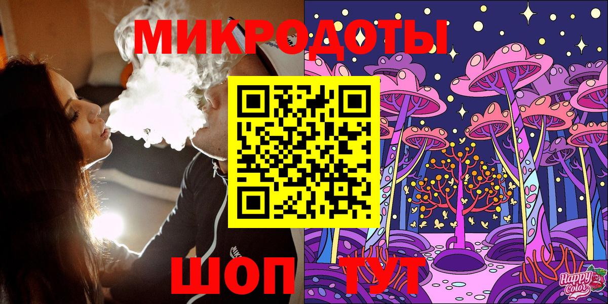 Псилоцибиновые грибы Psilocybe Туапсе